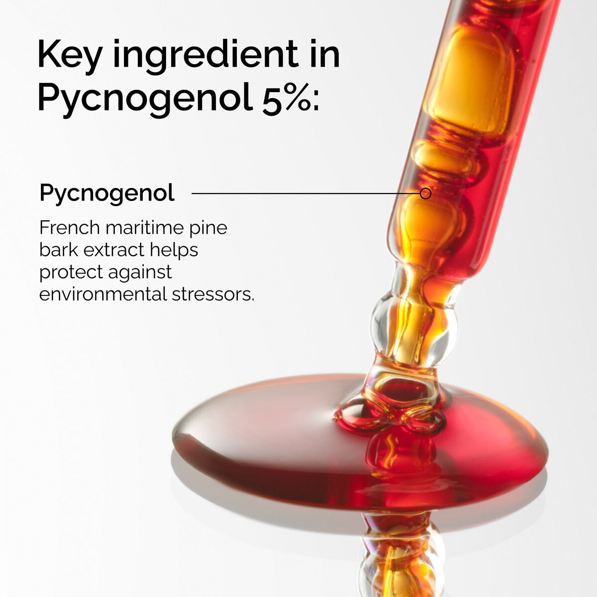 pycnogenol-5-d2 FY25-D41247-ORD-Web-PDP-Pyc-5pct-1x1-EN-2a.jpg